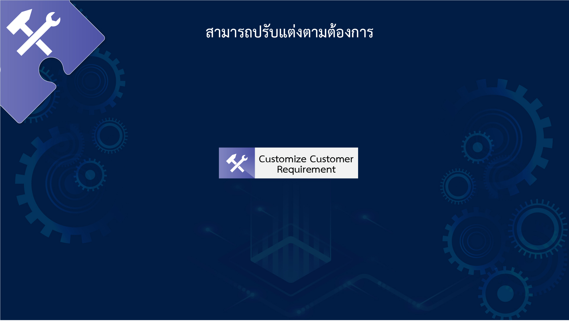 สามารถปรับแต่งตามต้องการ (Customize Customer Requirement)